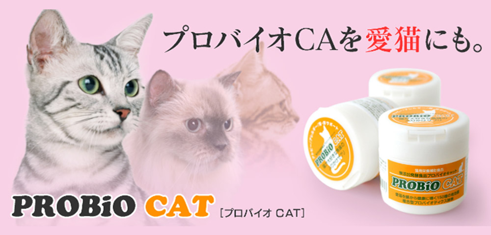 プロバイオ CAT（猫用）