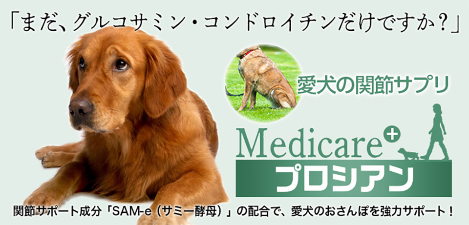メディケア　プロシアン関節サプリメント　犬サプリ　グルコサミン